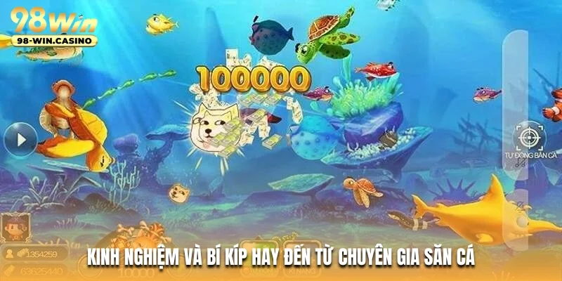 Kinh nghiệm và bí kíp hay đến từ chuyên gia săn cá